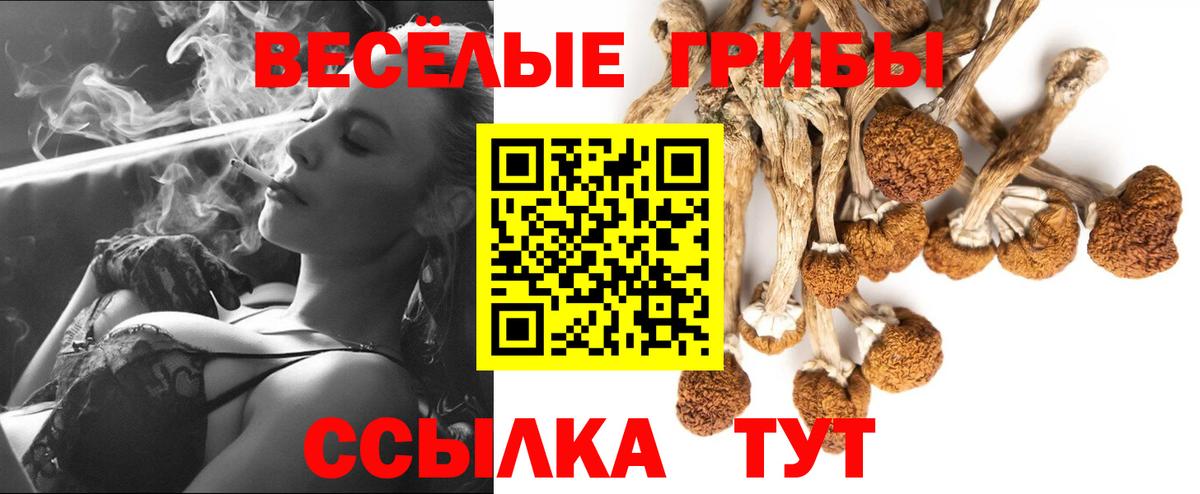 Псилоцибиновые грибы ЛСД Кушва