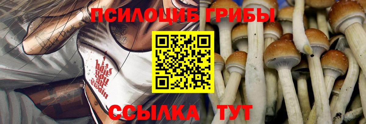 Кушва  Галлюциногенные грибы Cubensis  Вход с VPN 