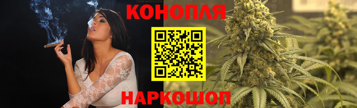 Конопля сатива Кушва